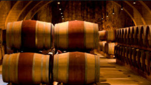 wine barrels inside winery